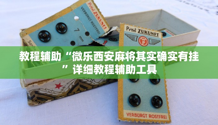 教程辅助“先锋跑得快到底有没有挂”其实确实有挂 教程辅助“先锋跑得快到底有没有挂”其实确实有挂