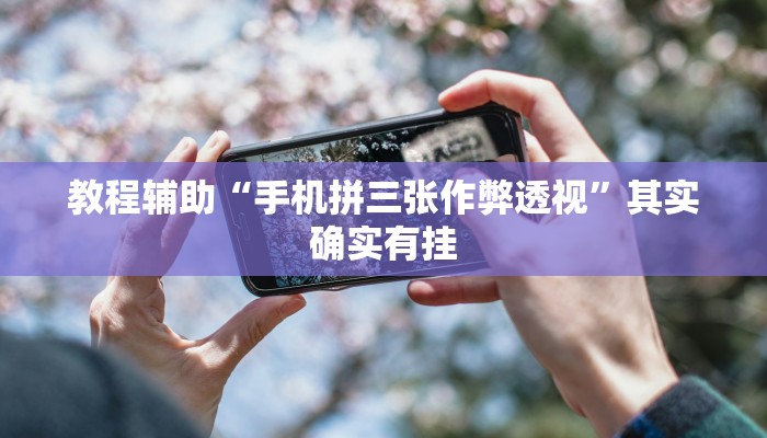 教程辅助“宁海罗松如何开挂”其实确实有挂