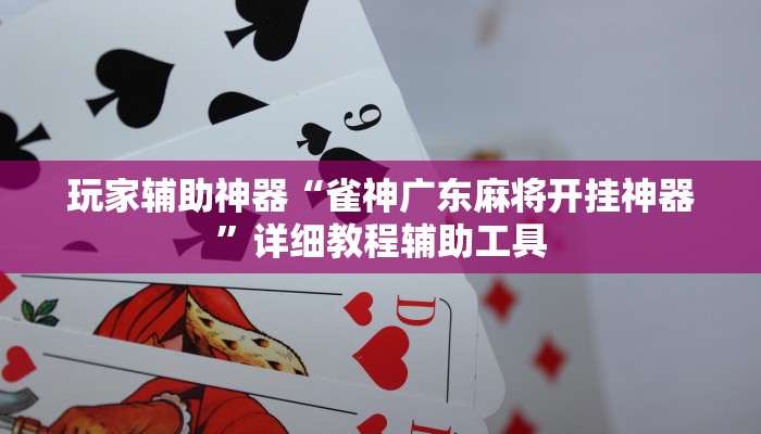 教程辅助“阿拉斗牌可以开挂吗”详细教程辅助工具