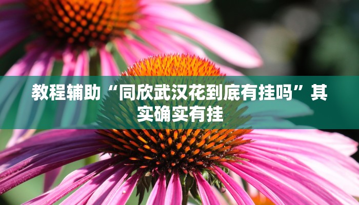 玩家辅助神器“微乐海南麻将外卦神器下载”开挂辅助详细步骤