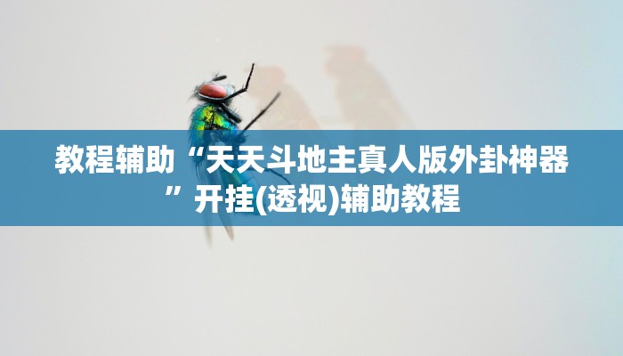 教程辅助“天天斗地主真人版外卦神器”开挂(透视)辅助教程