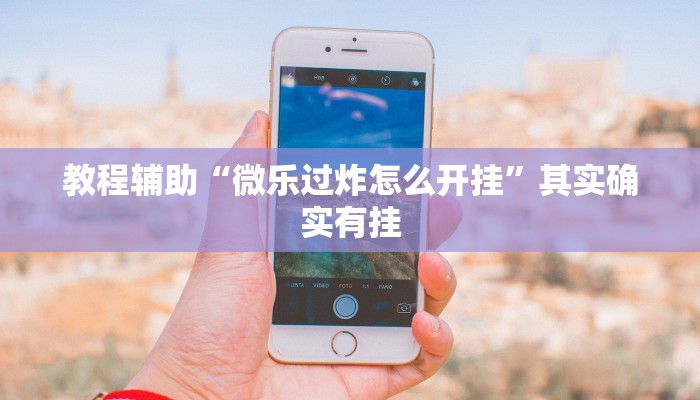 教程辅助“乐山贰柒拾开挂神器”其实确实有挂