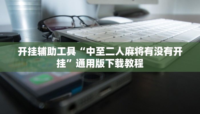 教程辅助“东方十三道辅助器”开挂辅助详细步骤