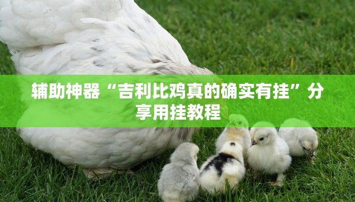 辅助神器“洋洋挖花软件辅助”开挂(透视)辅助教程