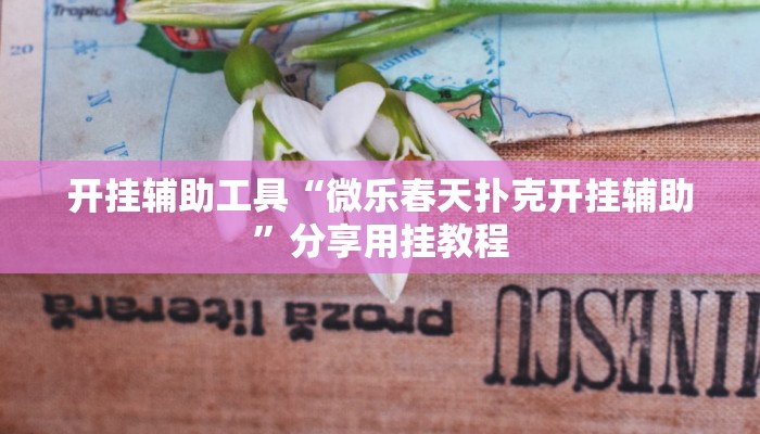 开挂辅助工具“微乐春天扑克开挂辅助”分享用挂教程