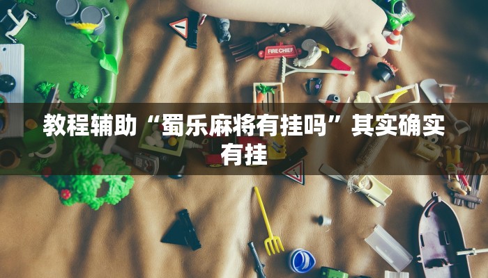 玩家辅助神器“皇豪互娱挂多少钱一天”其实确实有挂