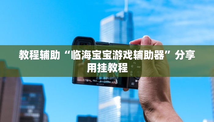 玩家辅助神器“蜀州麻将竟有透视挂吗”详细教程辅助工具