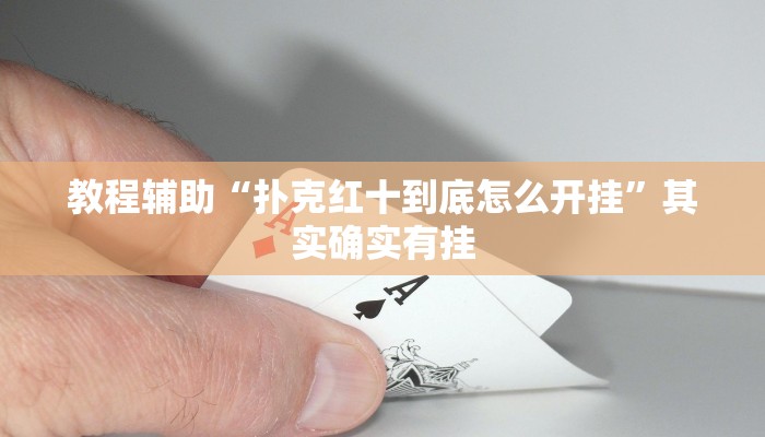 教程辅助“扑克红十到底怎么开挂”其实确实有挂