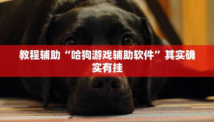 教程辅助“欢乐龙城3拼拼乐开挂”其实确实有挂