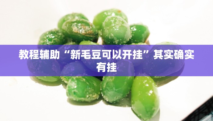 开挂辅助工具“新绍兴麻将有挂吗”通用版下载教程