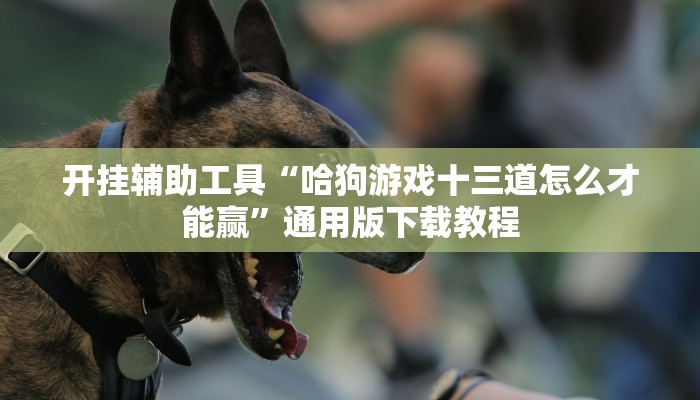 开挂辅助工具“哈狗游戏十三道怎么才能赢”通用版下载教程 开挂辅助工具“哈狗游戏十三道怎么才能赢”通用版下载教程