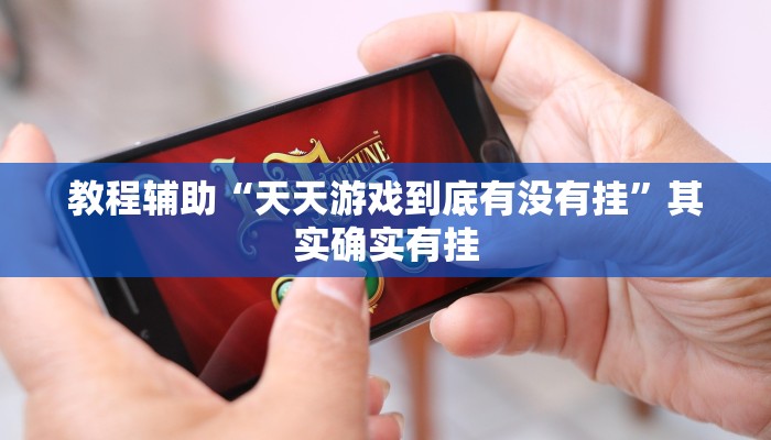 教程辅助“天天游戏到底有没有挂”其实确实有挂