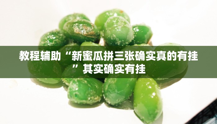 辅助神器“上楚湖北麻将确实真的有挂”其实确实有挂