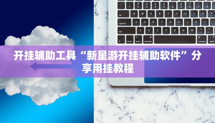 开挂辅助工具“新星游开挂辅助软件”分享用挂教程