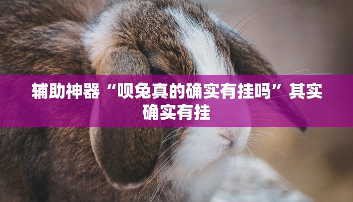 辅助神器“闲来安徽麻将外卦神器下载安装”分享用挂教程 辅助神器“闲来安徽麻将外卦神器下载安装”分享用挂教程