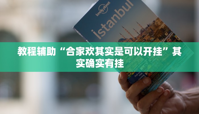 教程辅助“合家欢其实是可以开挂”其实确实有挂 教程辅助“合家欢其实是可以开挂”其实确实有挂