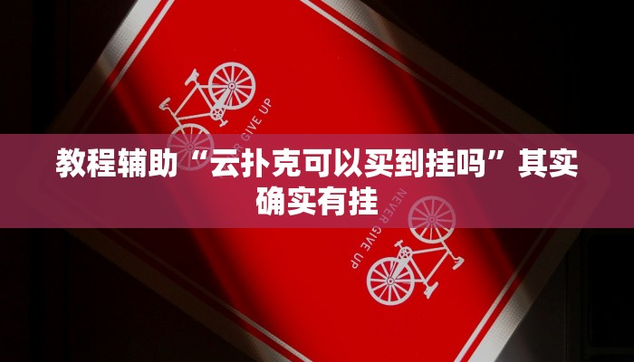 教程辅助“逗齐互娱开挂透视”其实确实有挂