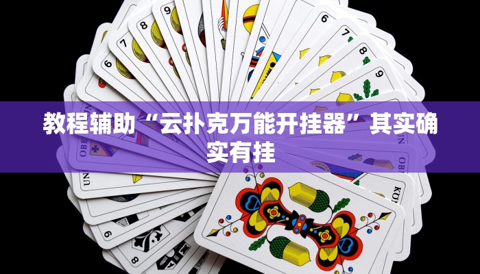 教程辅助“云扑克万能开挂器”其实确实有挂