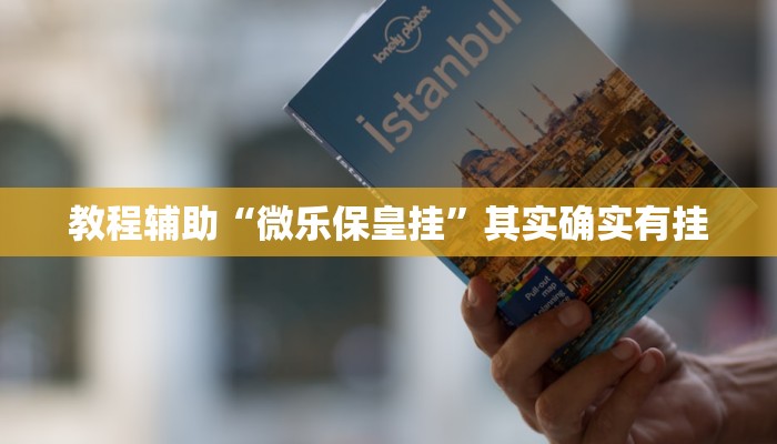 教程辅助“微乐保皇挂”其实确实有挂