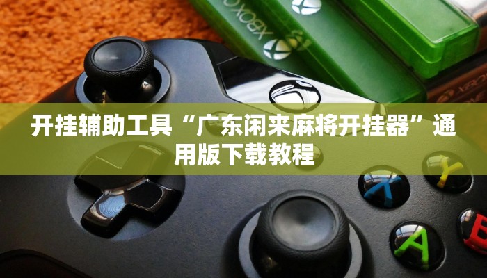 开挂辅助工具“广东闲来麻将开挂器”通用版下载教程