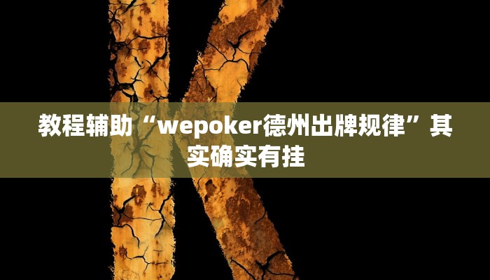 教程辅助“wepoker德州出牌规律”其实确实有挂