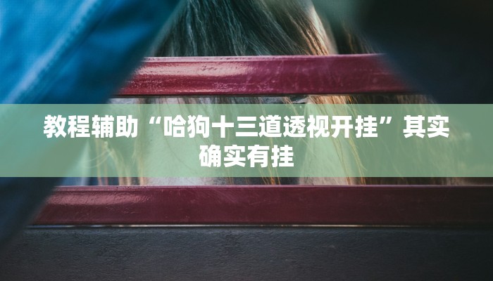 教程辅助“哈狗十三道透视开挂”其实确实有挂