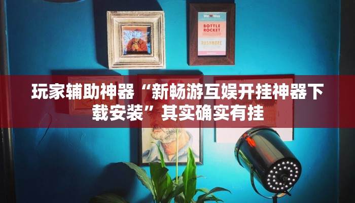 玩家辅助神器“新畅游互娱开挂神器下载安装”其实确实有挂