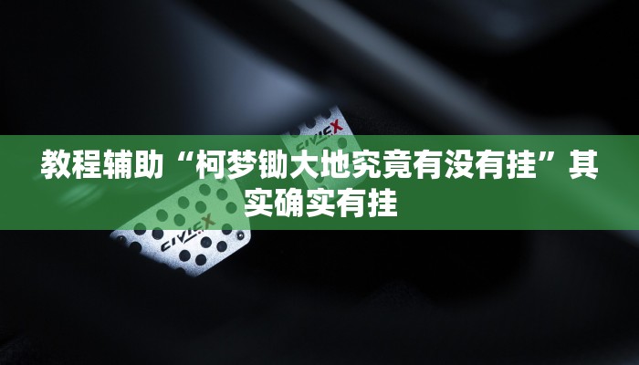 教程辅助“柯梦锄大地究竟有没有挂”其实确实有挂 教程辅助“柯梦锄大地究竟有没有挂”其实确实有挂