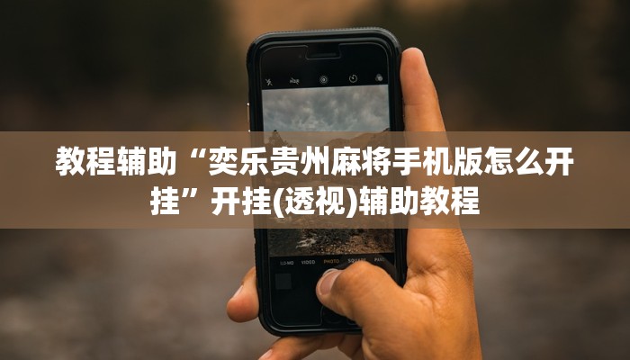 教程辅助“奕乐贵州麻将手机版怎么开挂”开挂(透视)辅助教程