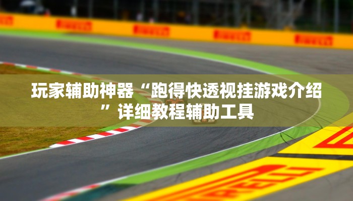 玩家辅助神器“跑得快透视挂游戏介绍”详细教程辅助工具