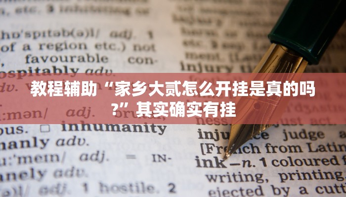 教程辅助“家乡大贰怎么开挂是真的吗?”其实确实有挂