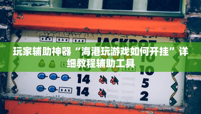 玩家辅助神器“海港玩游戏如何开挂”详细教程辅助工具 玩家辅助神器“海港玩游戏如何开挂”详细教程辅助工具