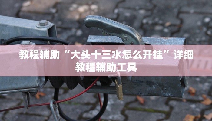 教程辅助“大头十三水怎么开挂”详细教程辅助工具 教程辅助“大头十三水怎么开挂”详细教程辅助工具