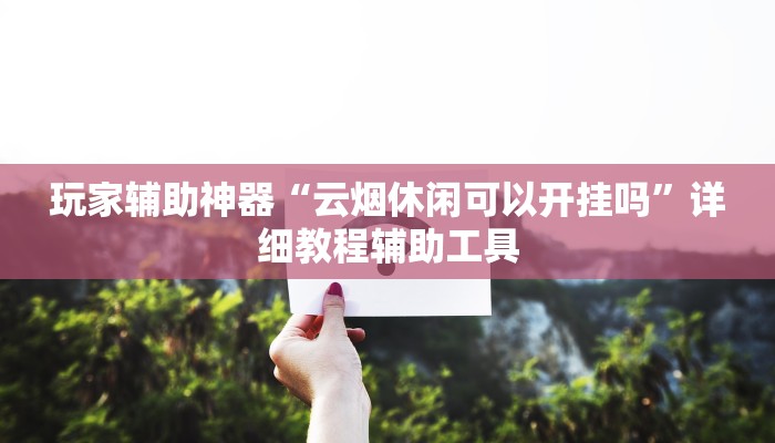 玩家辅助神器“云烟休闲可以开挂吗”详细教程辅助工具