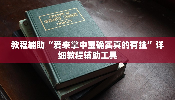 教程辅助“爱来掌中宝确实真的有挂”详细教程辅助工具 教程辅助“爱来掌中宝确实真的有挂”详细教程辅助工具