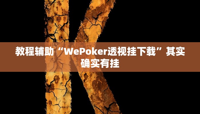 教程辅助“WePoker透视挂下载”其实确实有挂