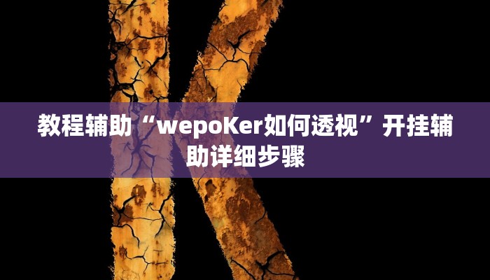 教程辅助“wepoKer如何透视”开挂辅助详细步骤 教程辅助“wepoKer如何透视”开挂辅助详细步骤