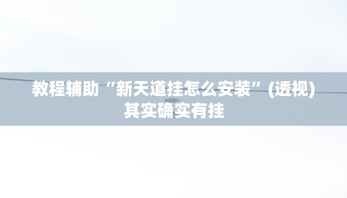 教程辅助“新天道挂怎么安装”(透视)其实确实有挂