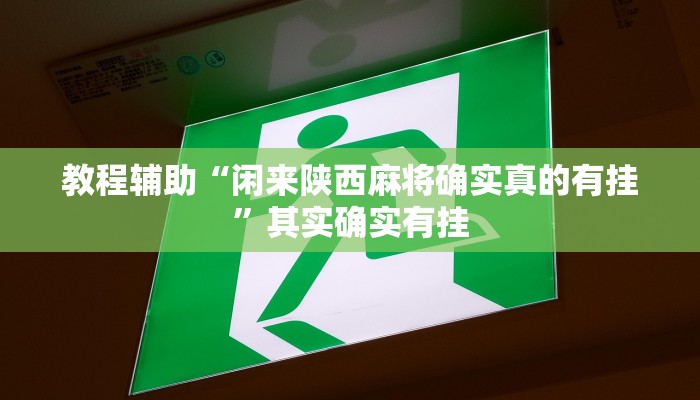 教程辅助“闲来陕西麻将确实真的有挂”其实确实有挂