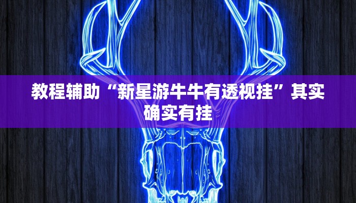 教程辅助“新星游牛牛有透视挂”其实确实有挂