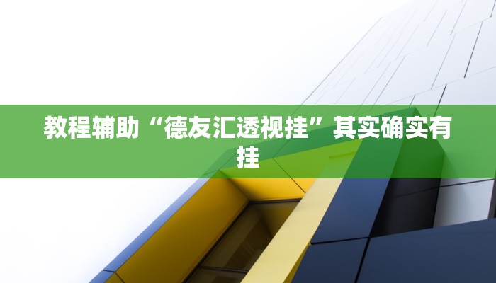 教程辅助“德友汇透视挂”其实确实有挂