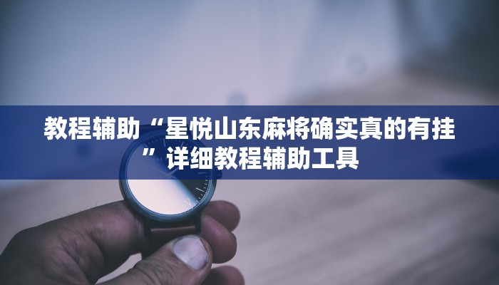 教程辅助“星悦山东麻将确实真的有挂”详细教程辅助工具