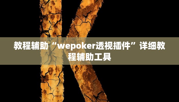 玩家辅助神器“wepoker作弊器辅助功能”开挂辅助详细步骤