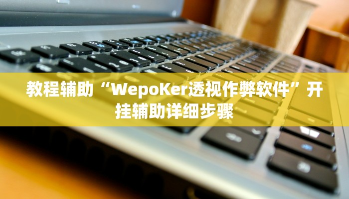 教程辅助“WepoKer透视作弊软件”开挂辅助详细步骤 教程辅助“WepoKer透视作弊软件”开挂辅助详细步骤
