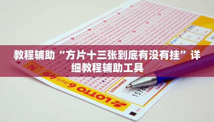 教程辅助“方片十三张到底有没有挂”详细教程辅助工具