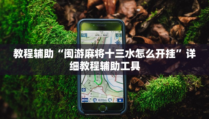 教程辅助“闽游麻将十三水怎么开挂”详细教程辅助工具