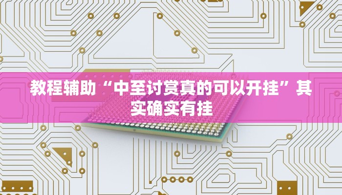 教程辅助“中至讨赏真的可以开挂”其实确实有挂