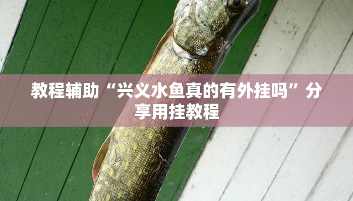 教程辅助“潮公馆有挂是真的”其实确实有挂