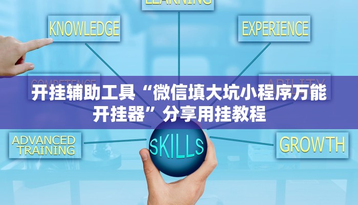 开挂辅助工具“微信填大坑小程序万能开挂器”分享用挂教程