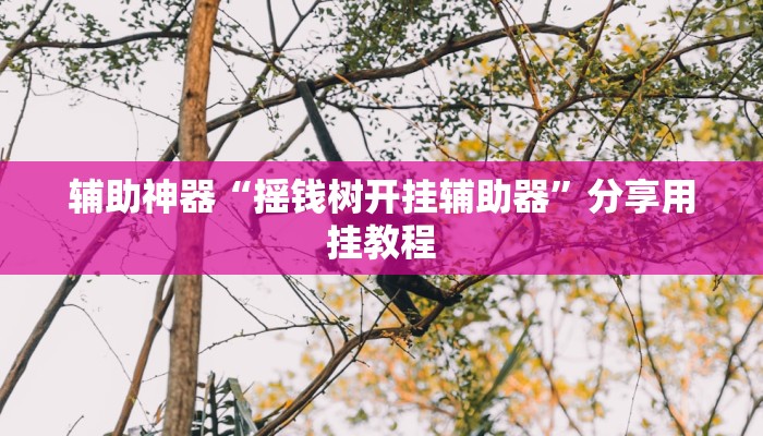 辅助神器“摇钱树开挂辅助器”分享用挂教程 辅助神器“摇钱树开挂辅助器”分享用挂教程